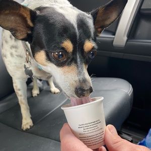 Meet your Posher, Maya